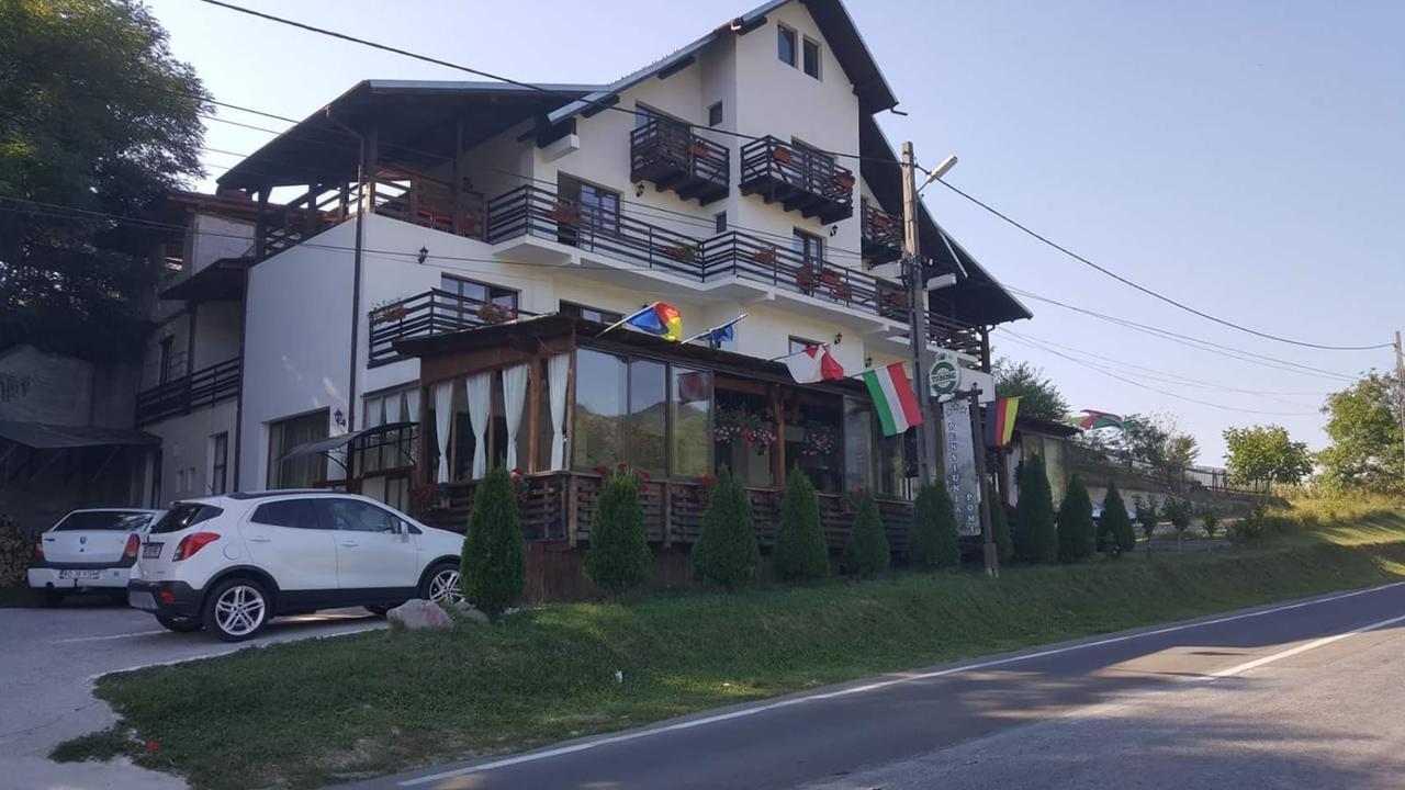 Отель Pensiunea Pomi -Oesti Albestii Paminteni Экстерьер фото