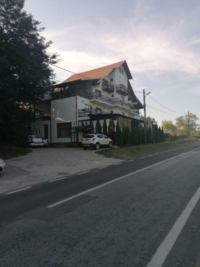 Отель Pensiunea Pomi -Oesti Albestii Paminteni Экстерьер фото